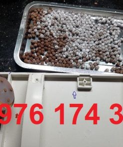 Dụng cụ làm viên hà thủ ô, viên tam thất mật ong